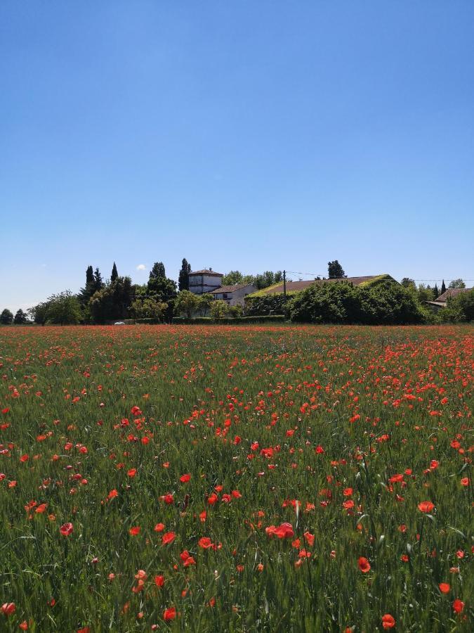 Вилла Agriturismo Corte Spino Ногароле-Рокка Экстерьер фото