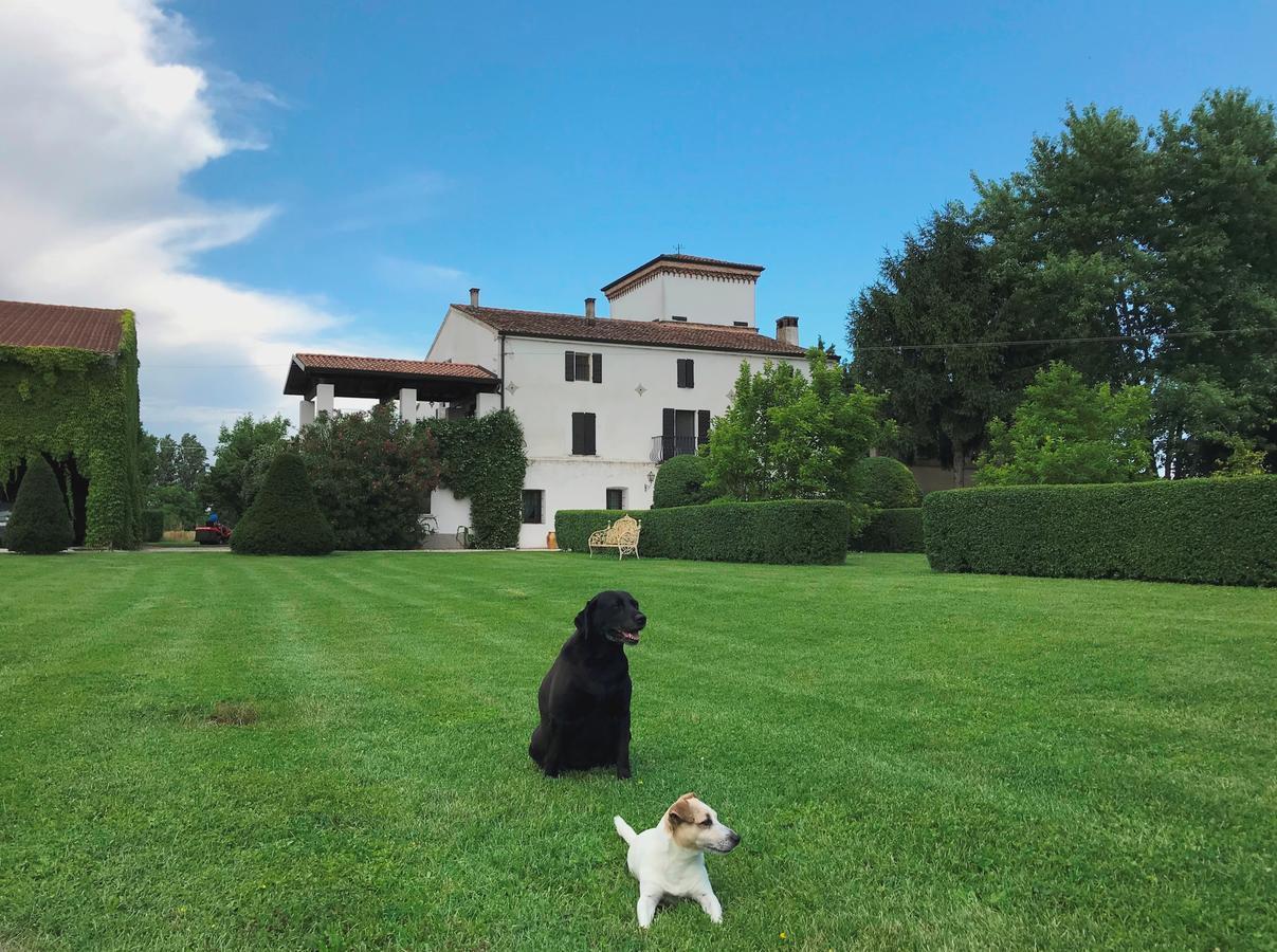 Вилла Agriturismo Corte Spino Ногароле-Рокка Экстерьер фото